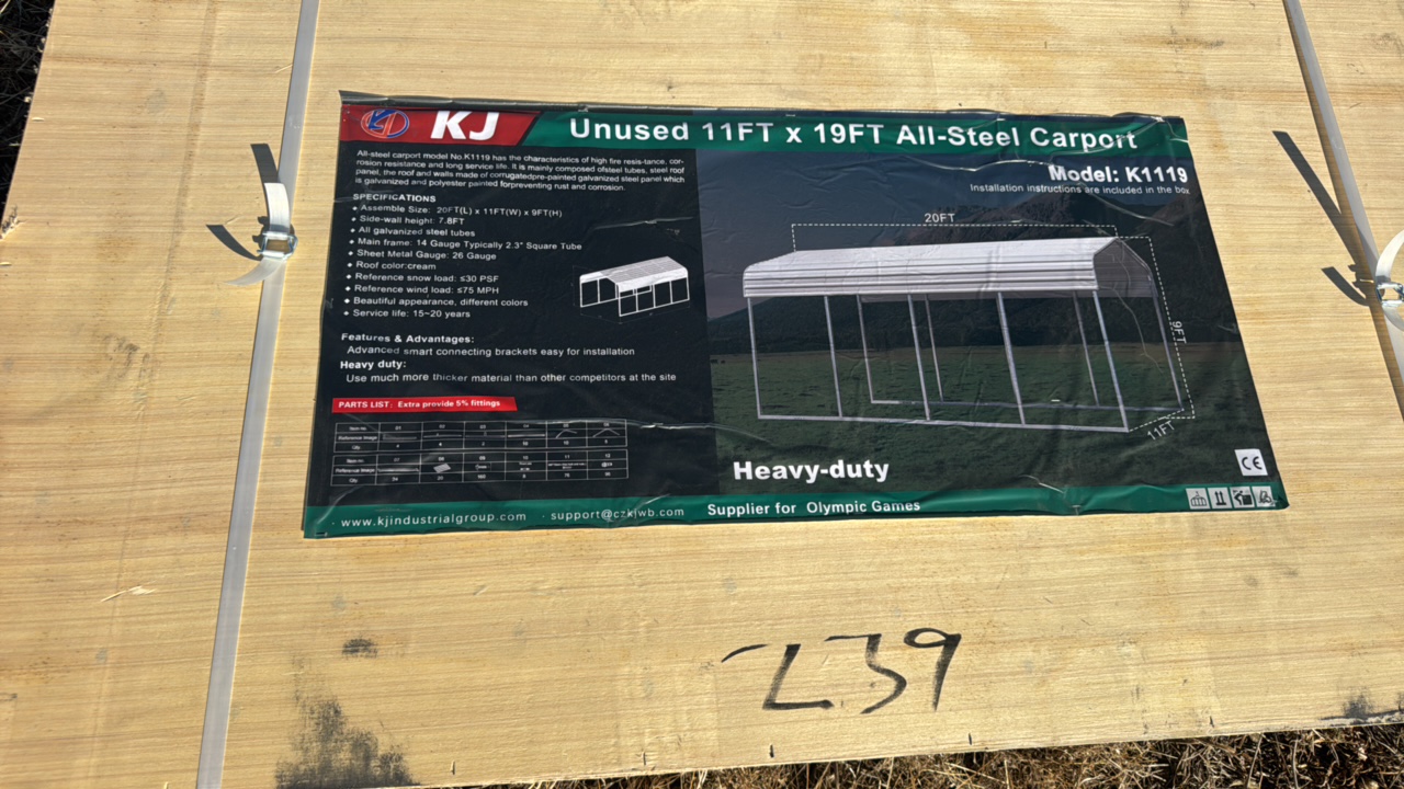 2025 K1119 Unused 11FTx19FT All- Steel Carport