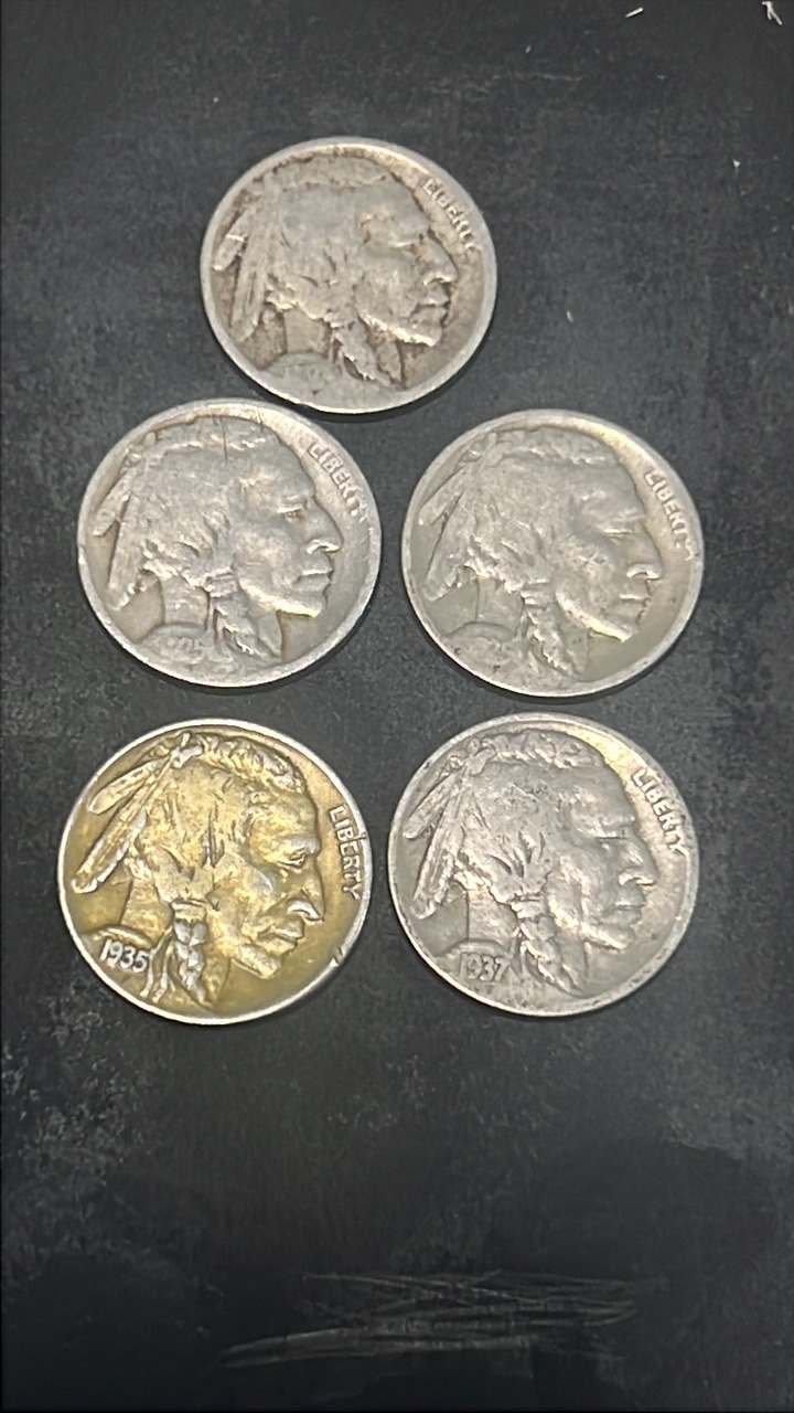 buffalo nickels lot of 5 1917-1937