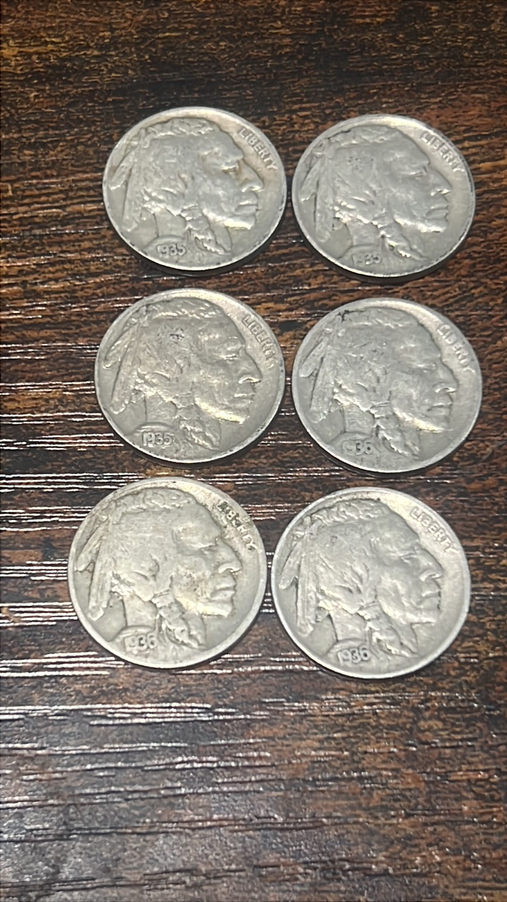 Buffalo nickels lot of 6 1935-1936
