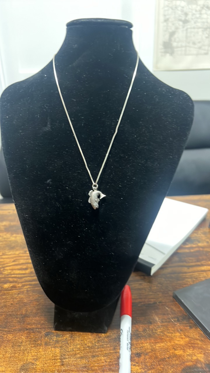 sterling silver fish pendant and chain