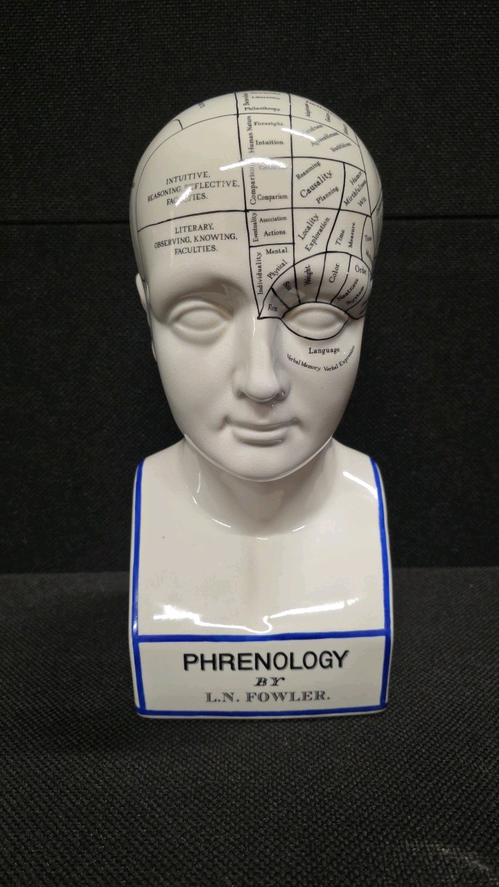 Porcelain Phrenology Head Statue - A replica of the original L.N. Fowler bust ( M&M Resources )