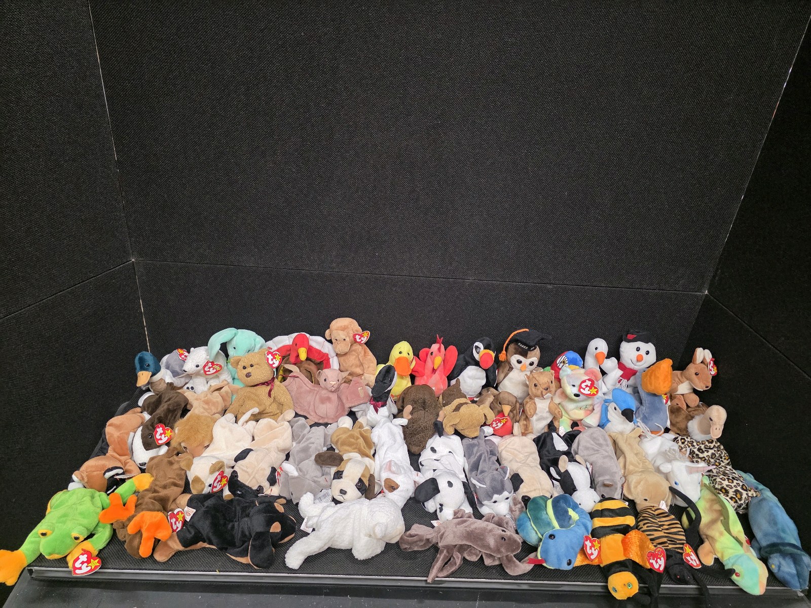 Lot of 50 Vintage Beanie Babies
