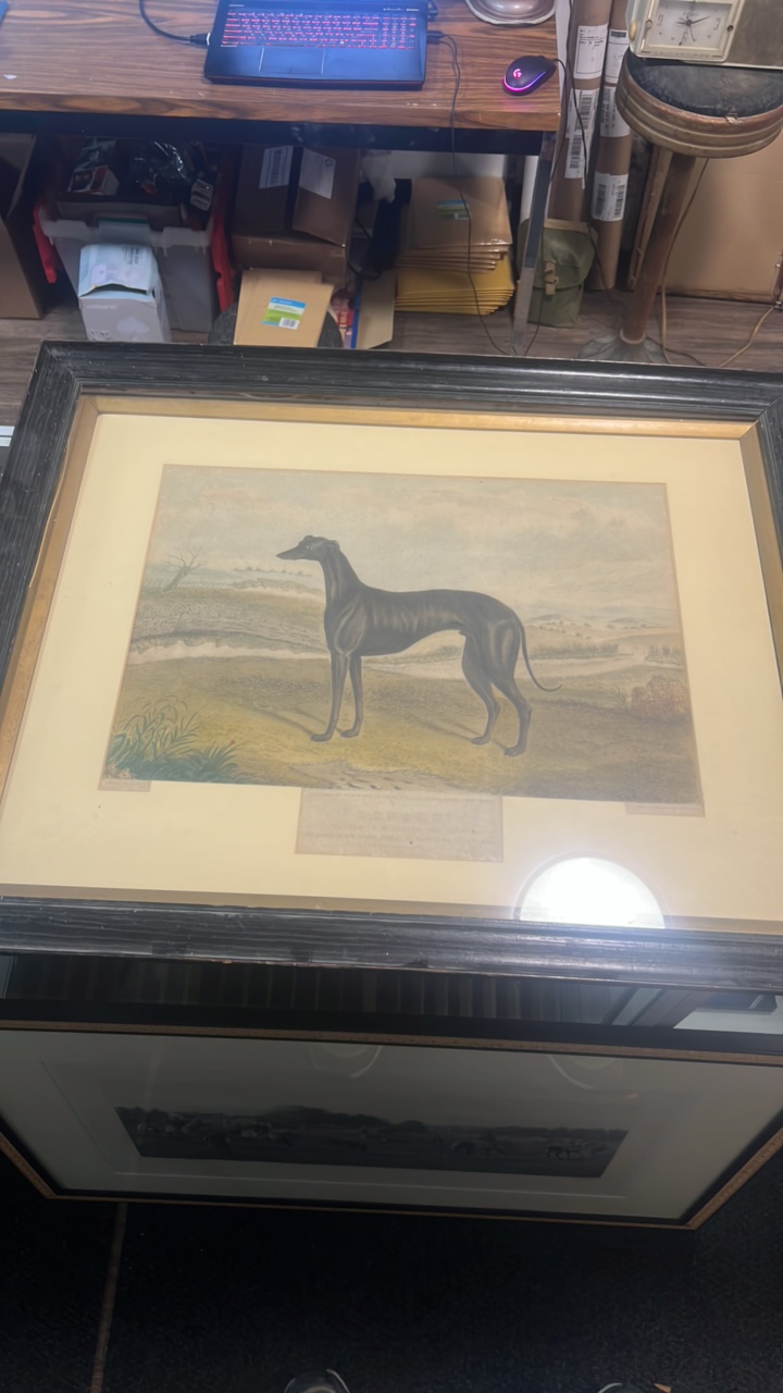 1876 DONALD greyhound etching