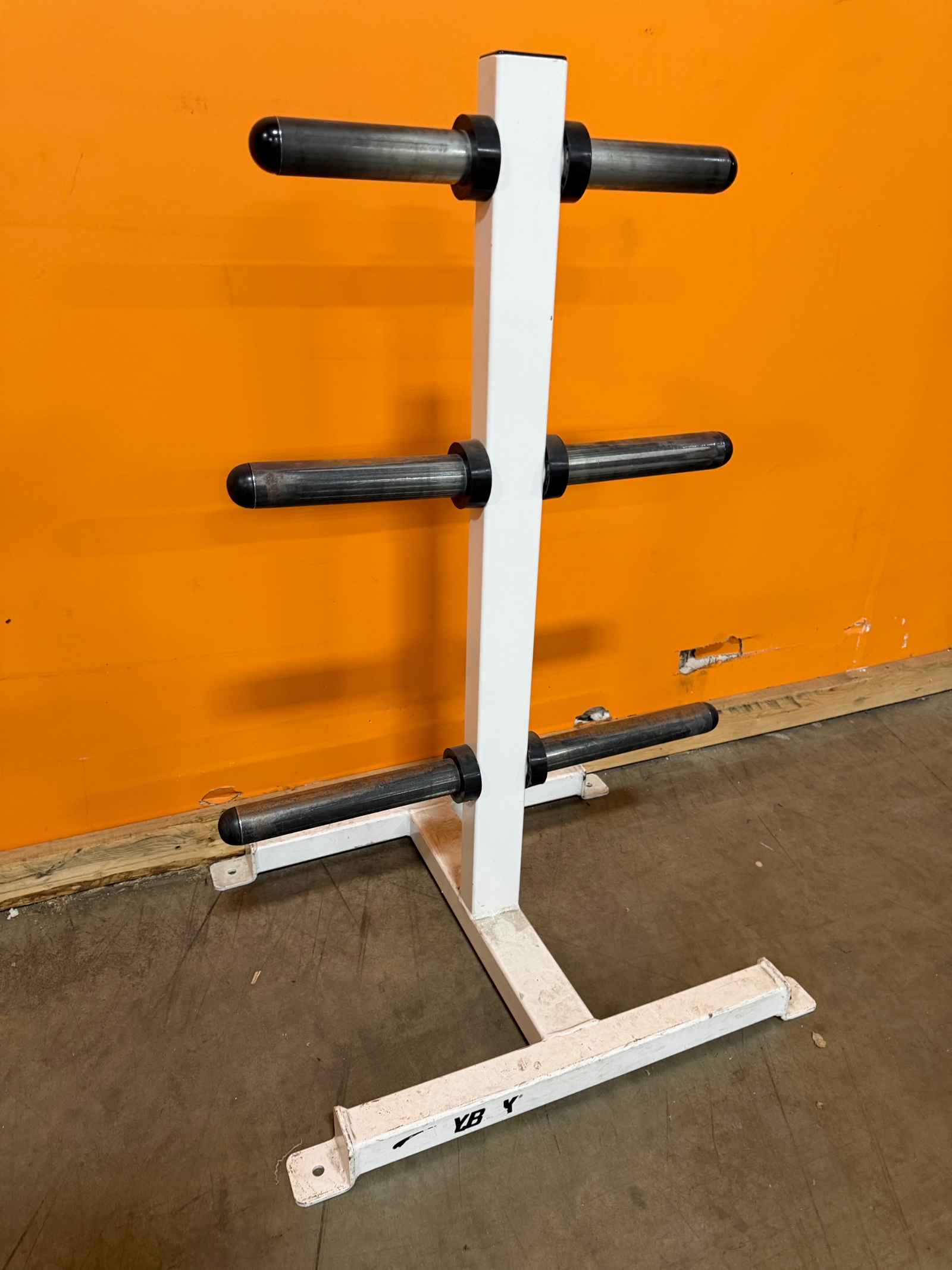 Cybex Vertical Olympic Weight Plate Storage Rack