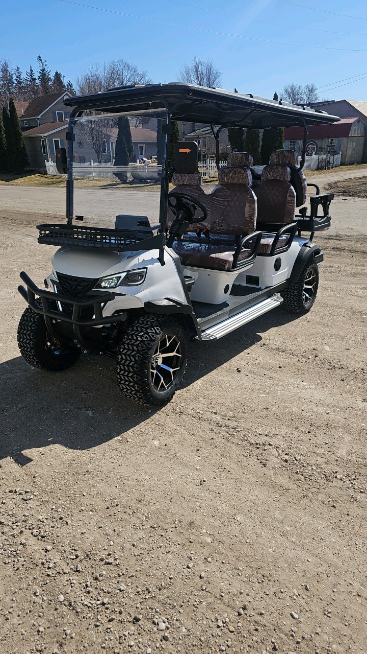 SDLANCH 6 Seat Golf Cart SDLGC100 - Assembled