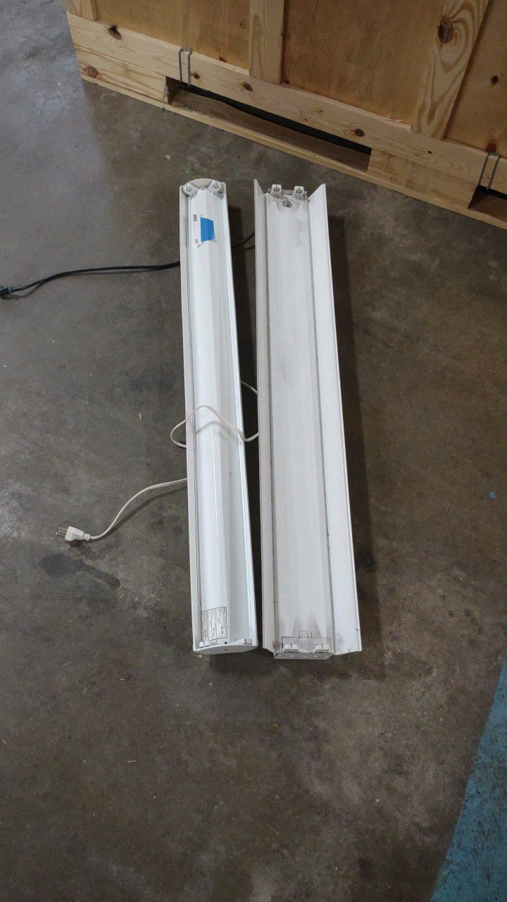 2 lights