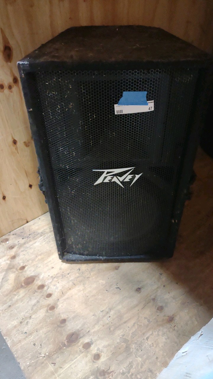 peavy speaker