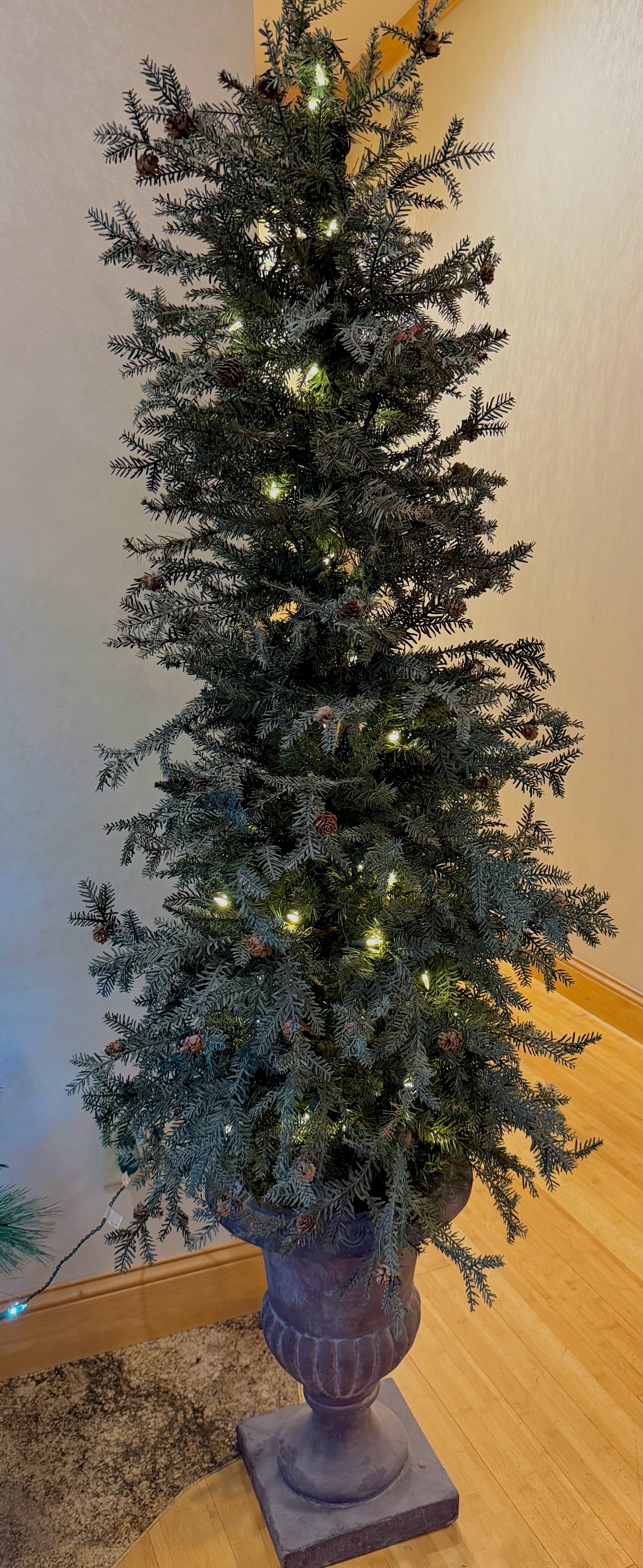 tree with lights
