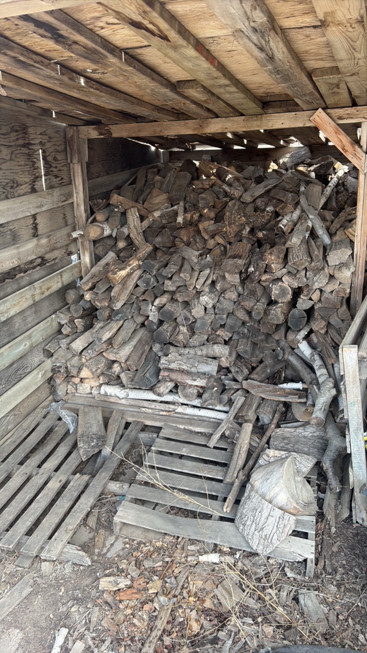 Firewood