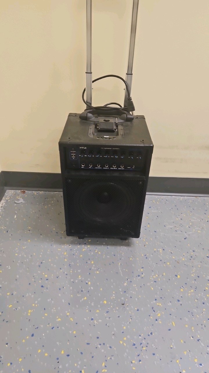 Pyle speaker