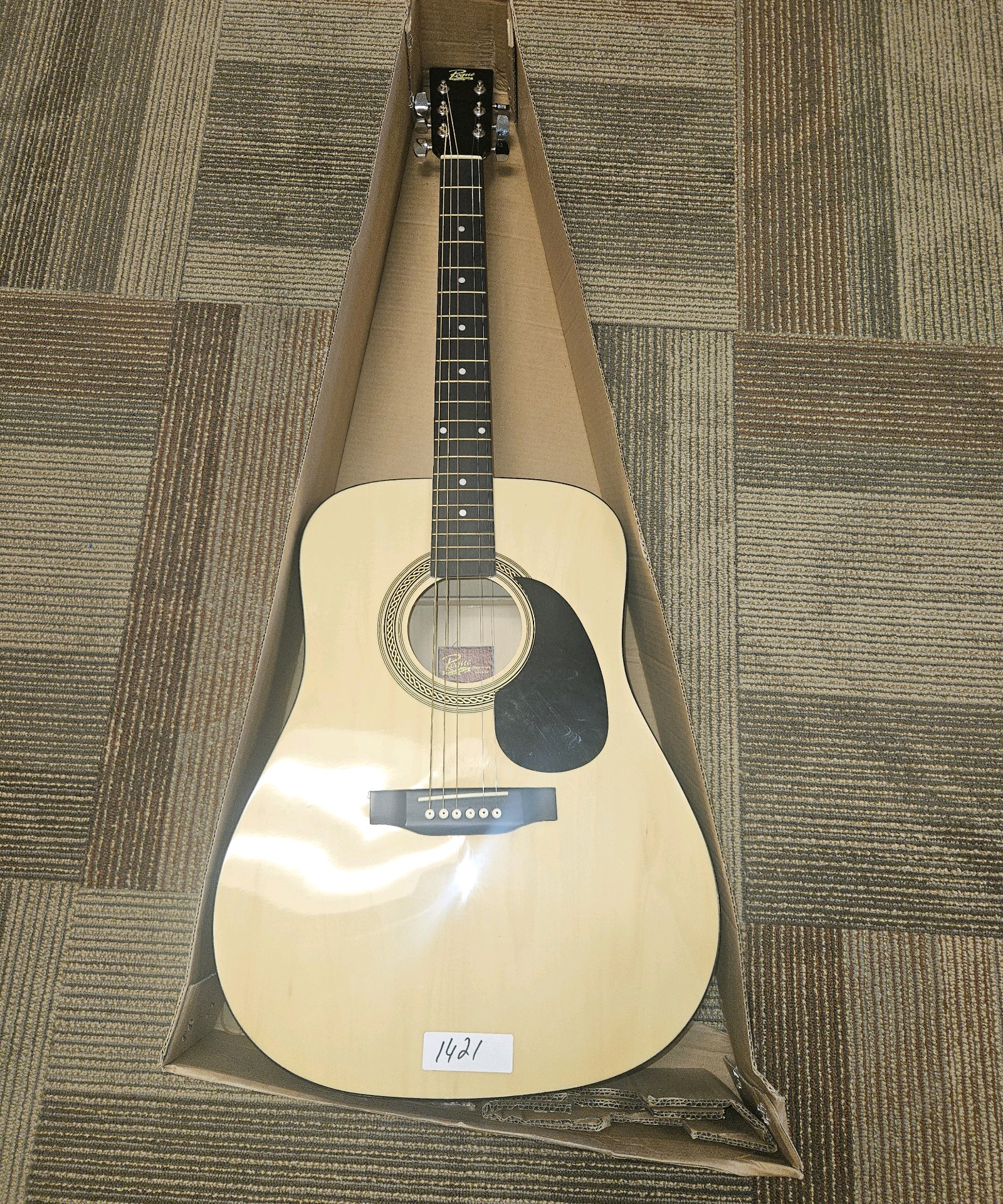 acoustic guitar