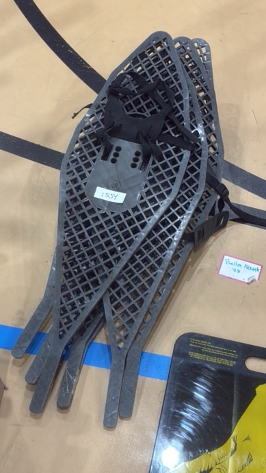 Snow shoes