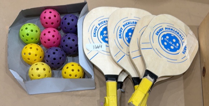 pickleball paddles and balls