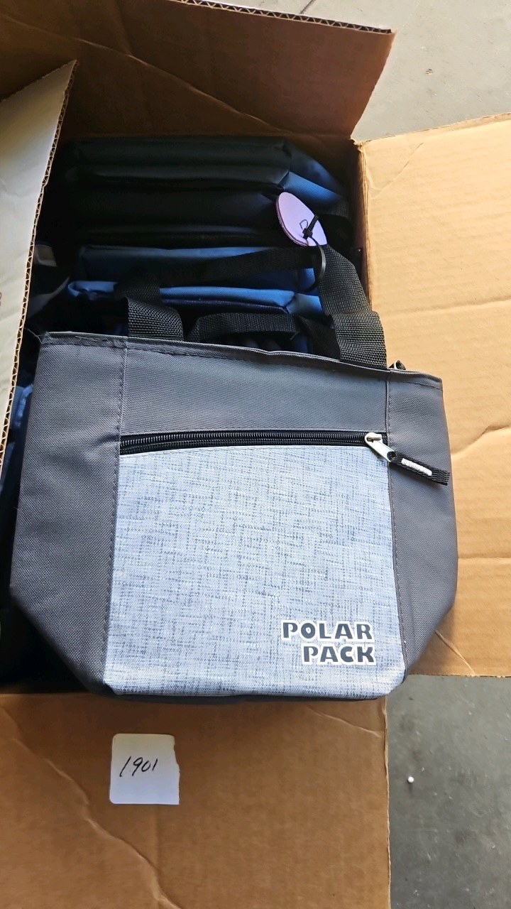 polar pack lunch bag tote