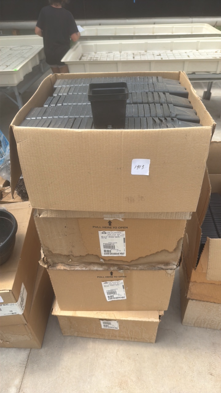 Bulk Lot of Square Greenhouse Nursery Pots