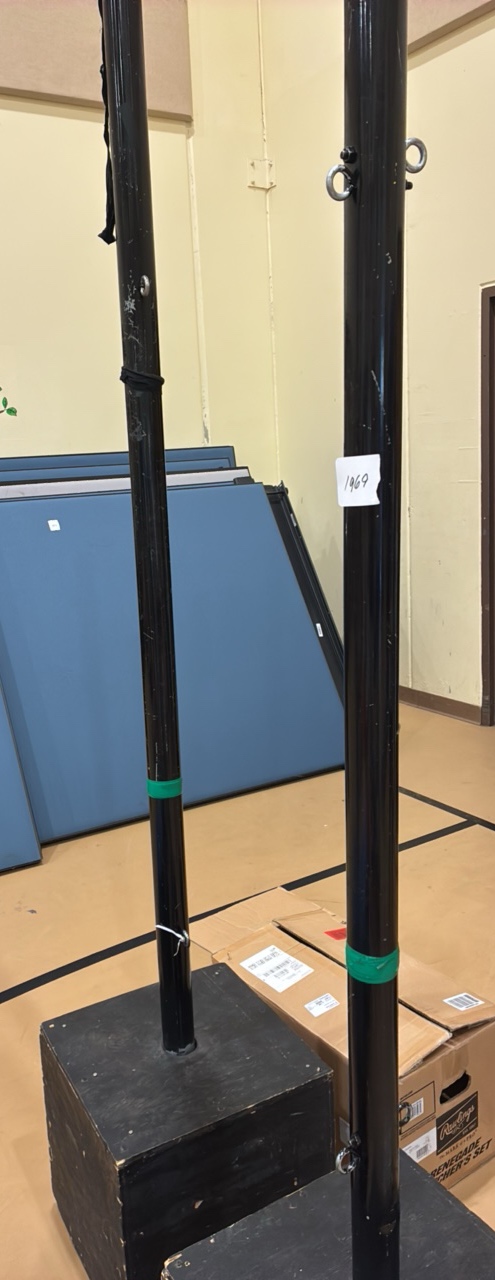 volleyball and Badminton stand