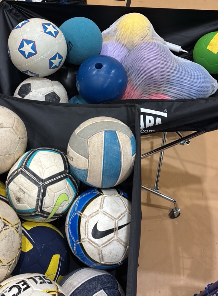 miscellaneous sports balls