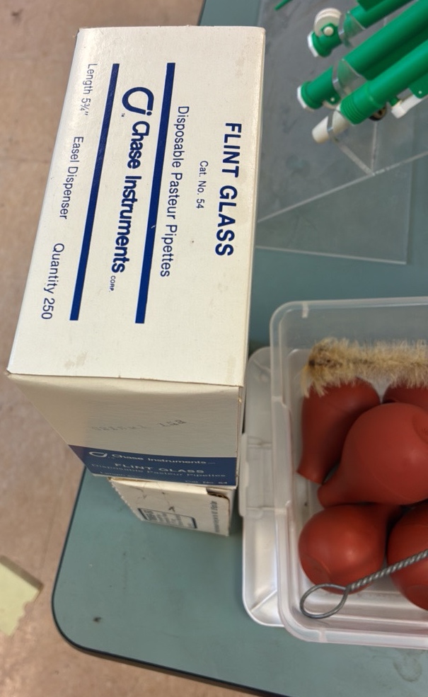 pipetters bulbs and disposable pipettes