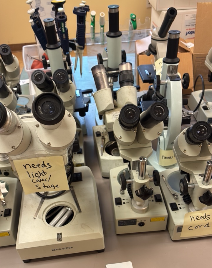 Micro scopes