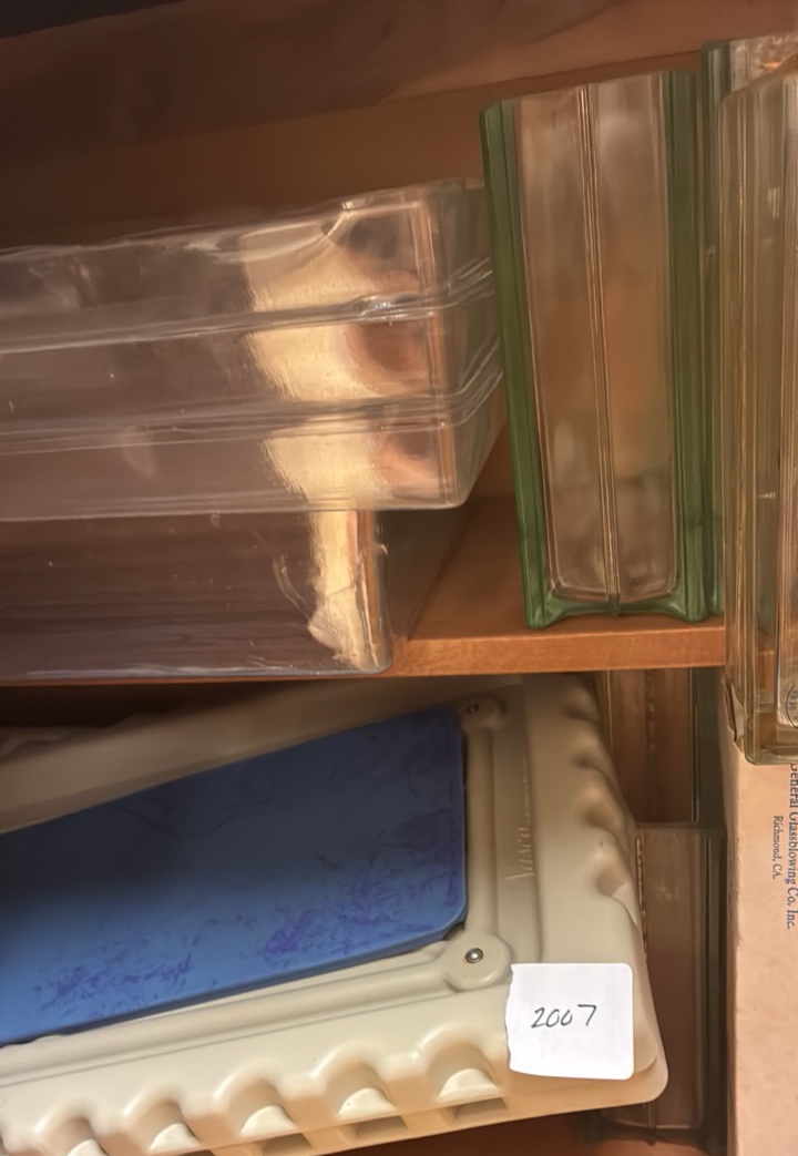 taxidermy items and tray