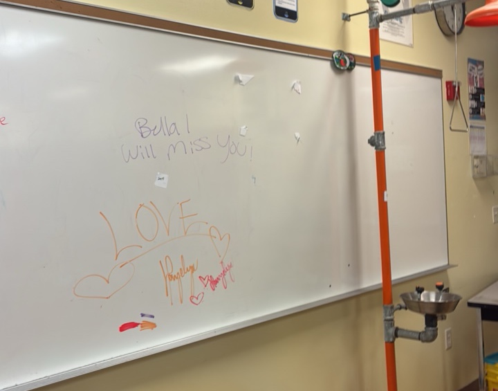 Whiteboard