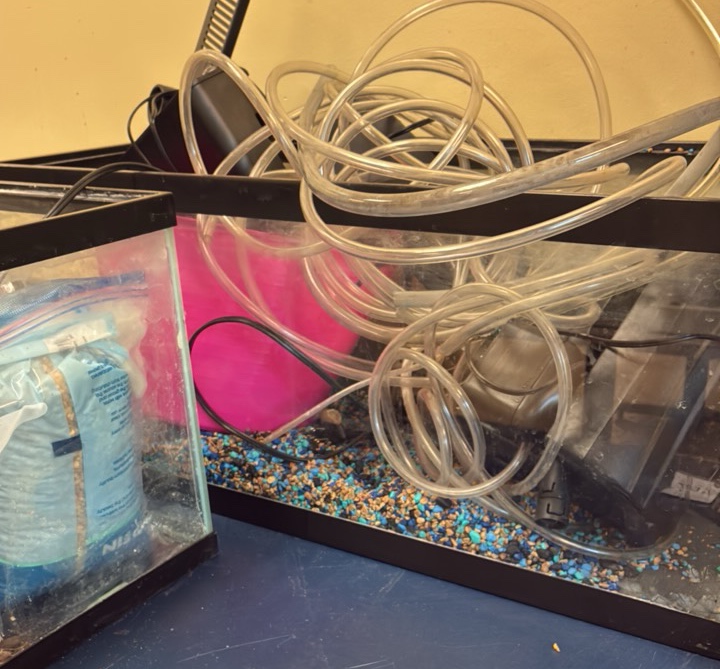 miscellaneous fish items