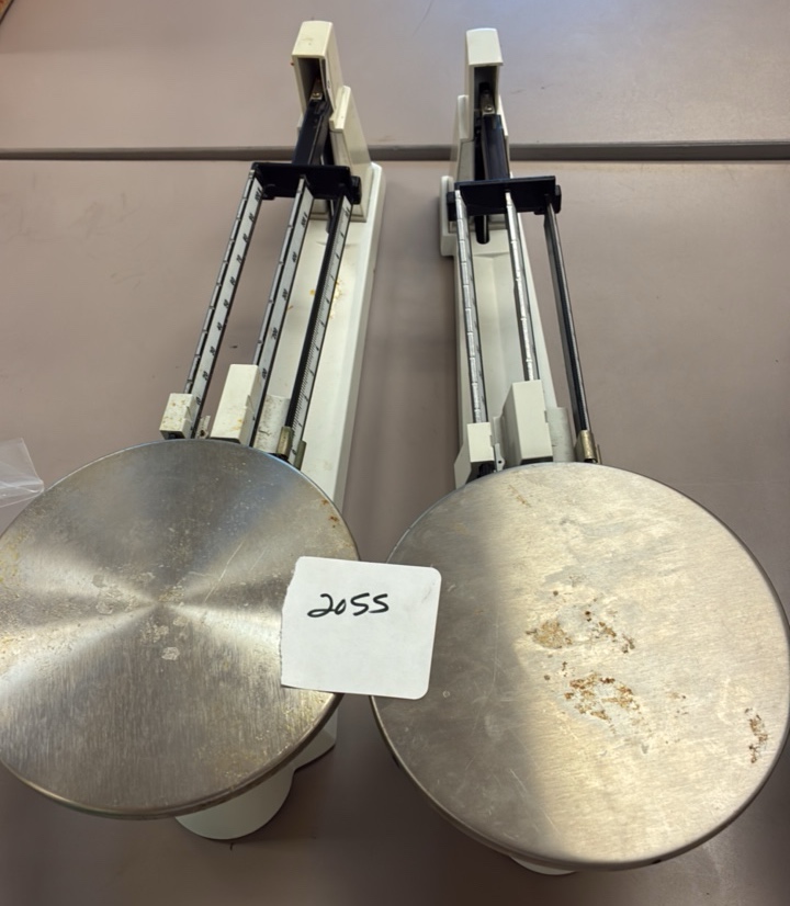 scales
