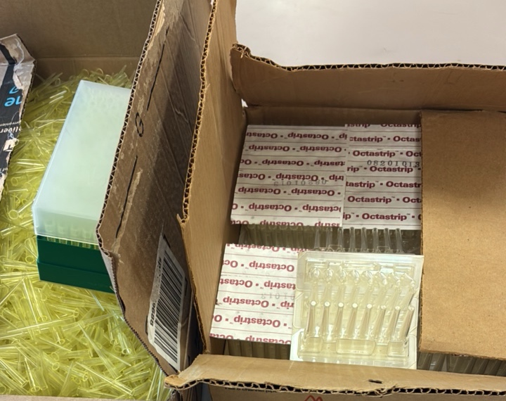 pipettes and pipe tips