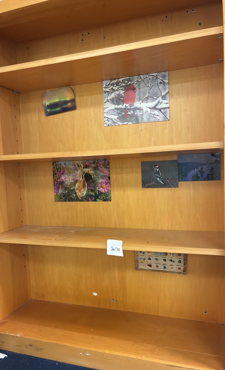 book shelf