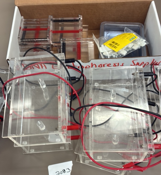 DNA electrophoresis supplies