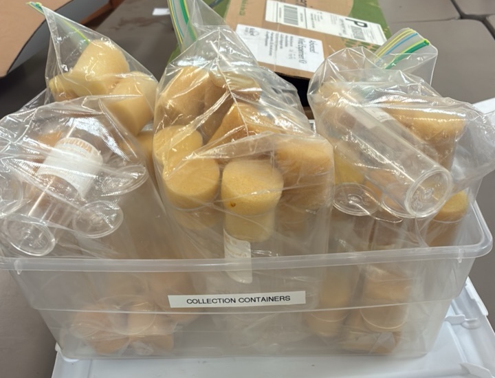 fruit fly collection containers