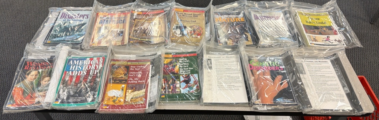 bridges benchmark books in curriculum