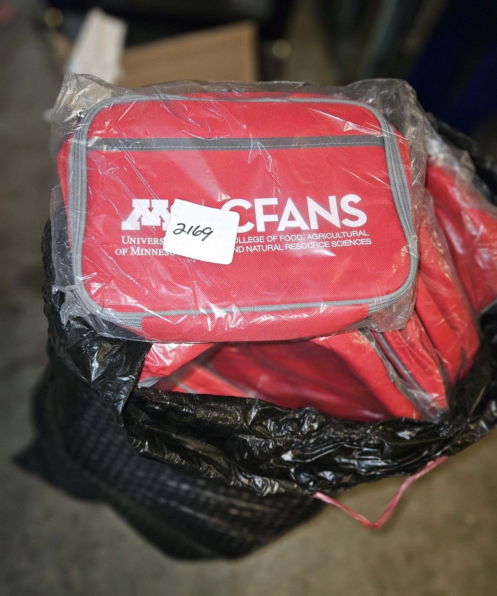Bag of lunch bags