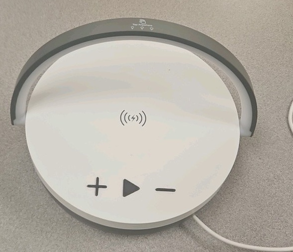 Swiss cougar Bluetooth player with light