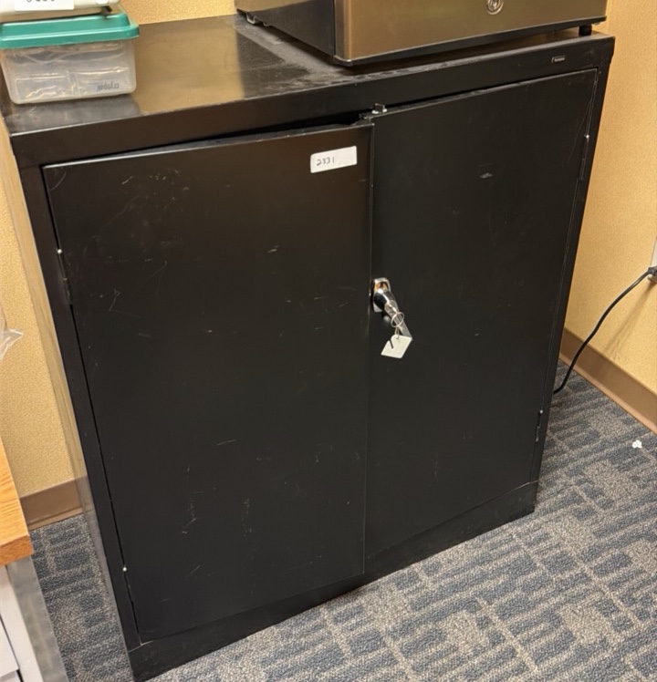 Lockable Cabinet