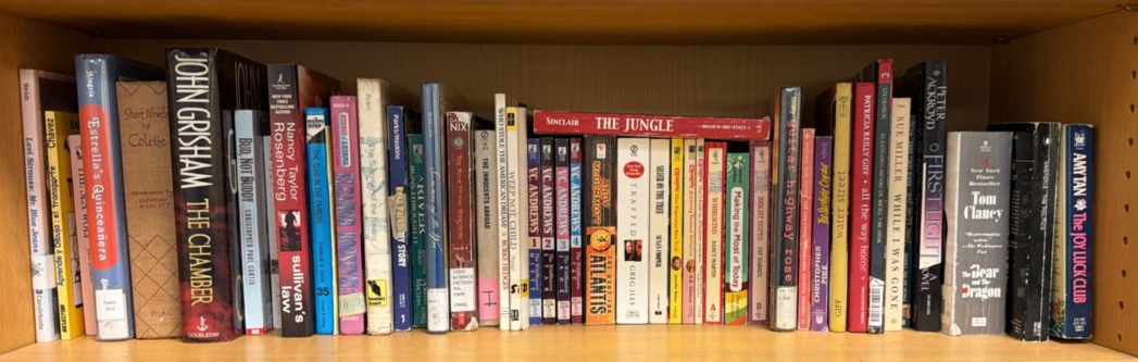 assorted adolescent in adult novels