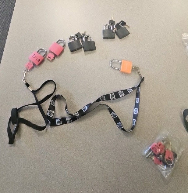 small bag of locks with keys