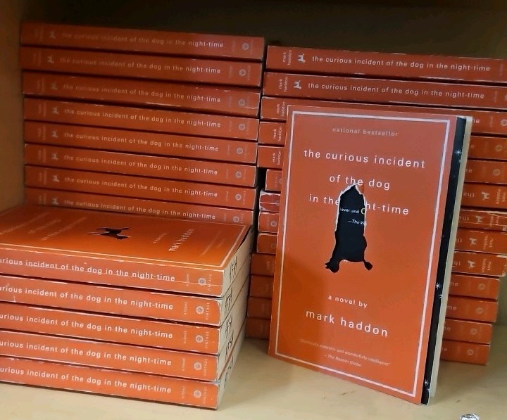 the Curious incident of the dog in the night time