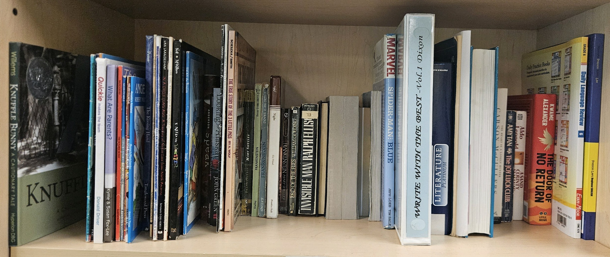 full Shelf of miscellaneous books