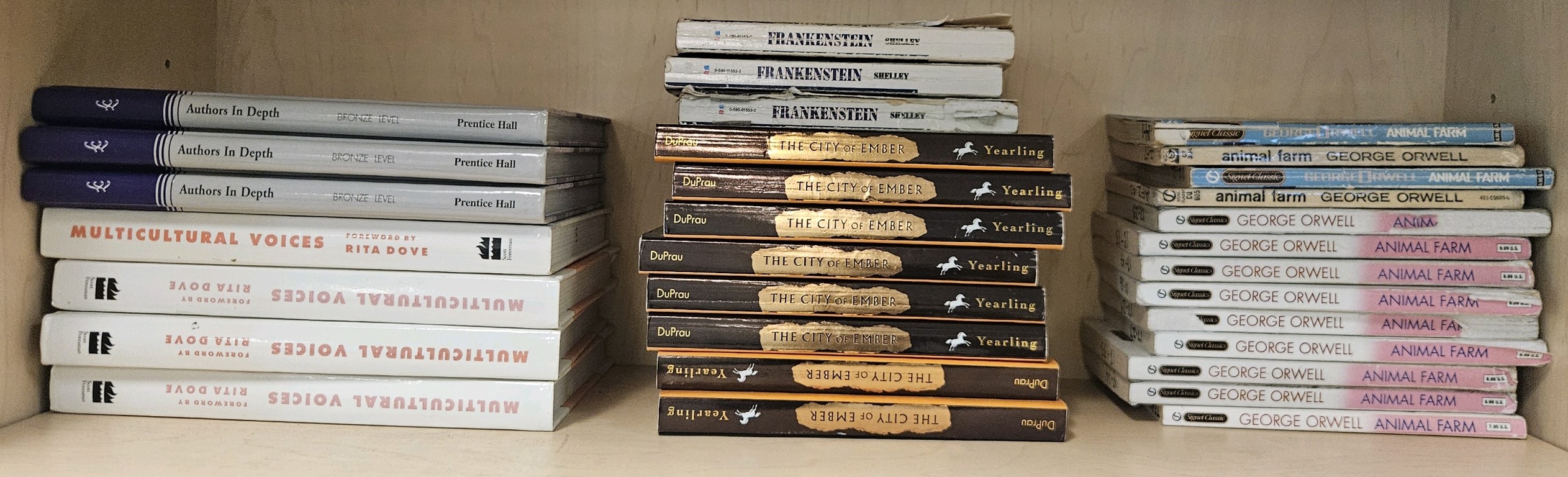 shelf of books