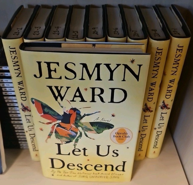 let us descend hardcover