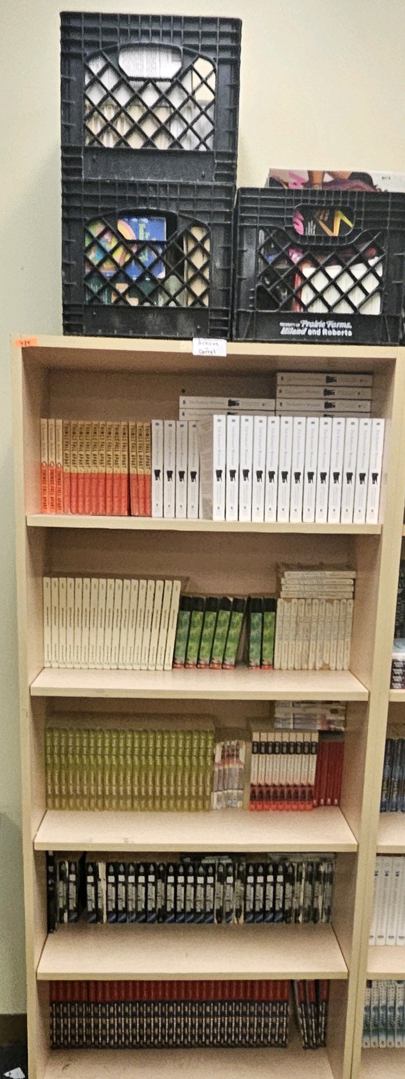 shelf of books bookcase not included