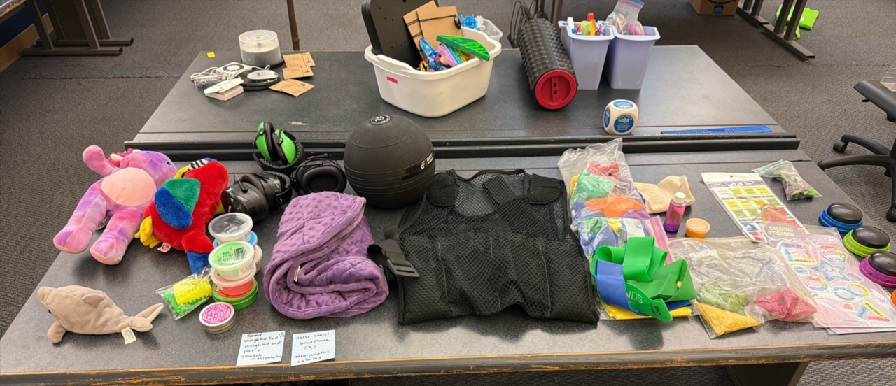Weight of balls, weighted, vests noise, canceling headphones, manipulative calming stuffed animals