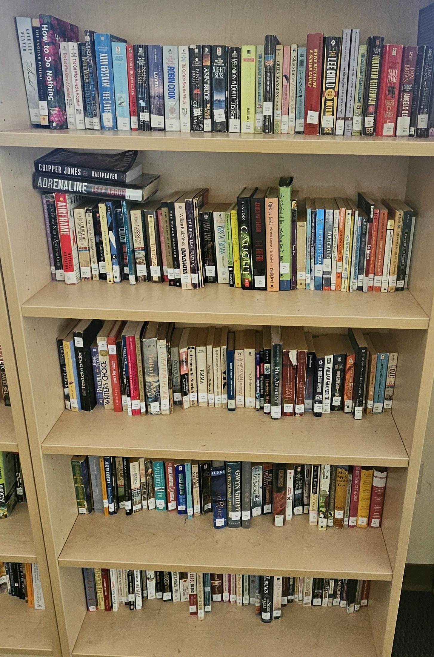 shelf of books