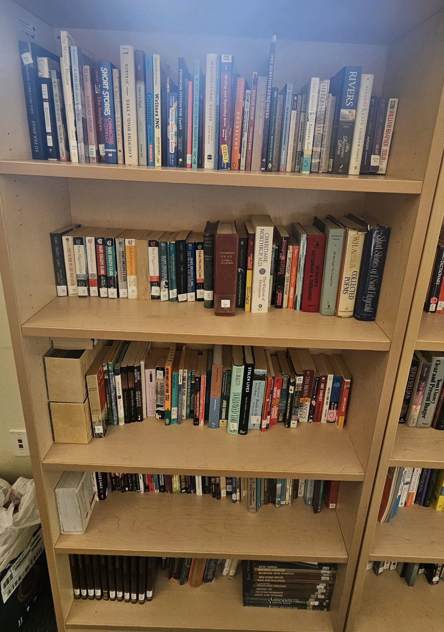 shelf of books