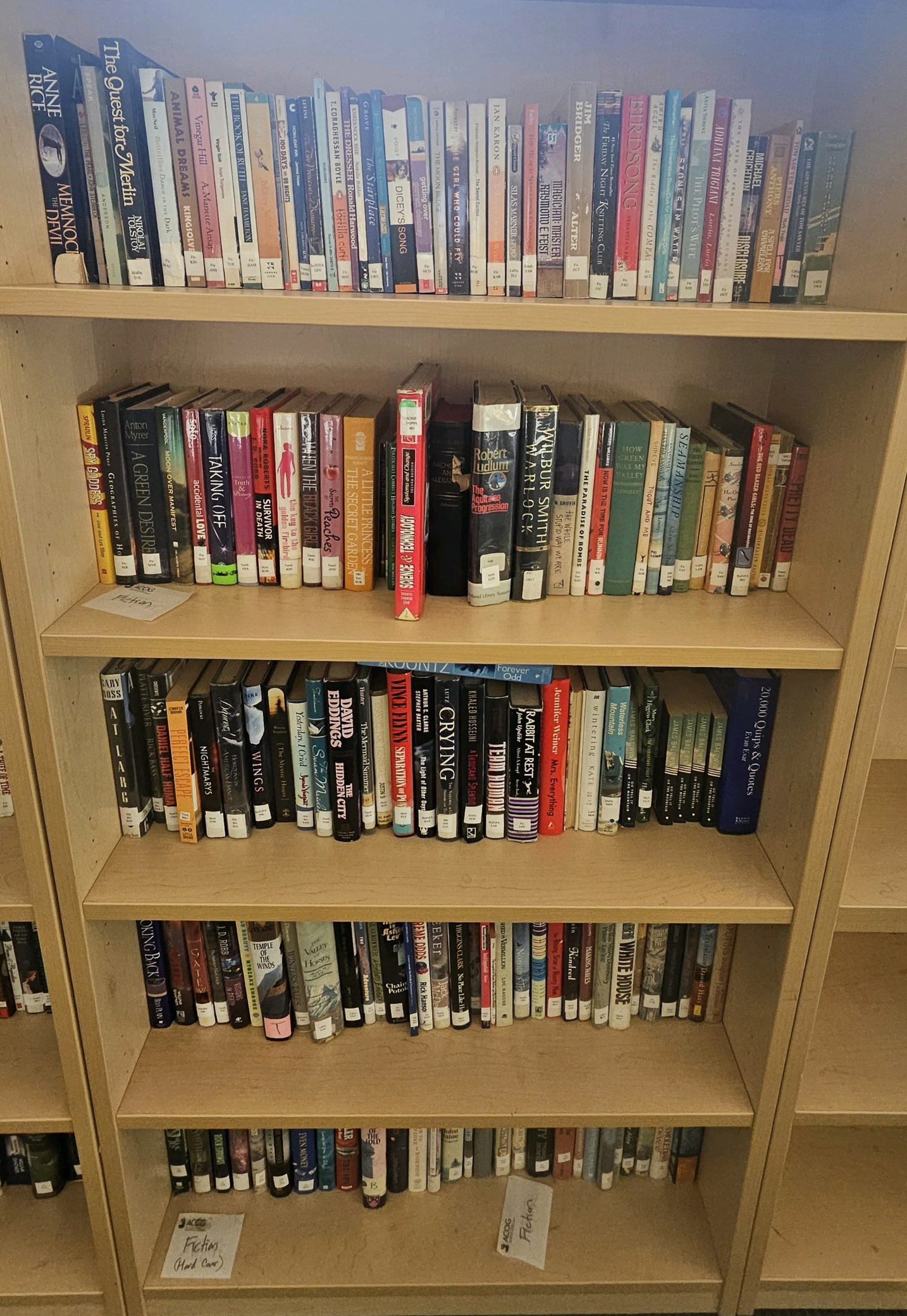 shelf of books