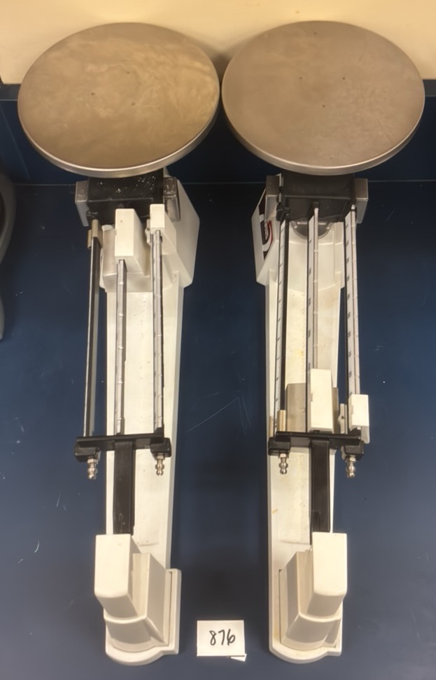ohaus scale