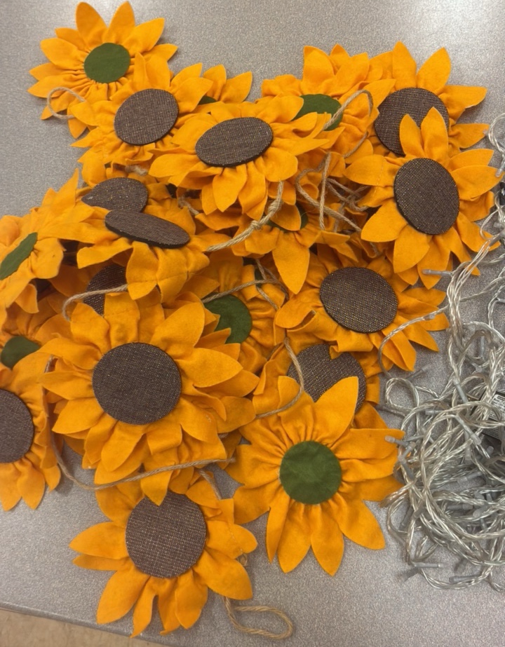 miscellaneous classroom items