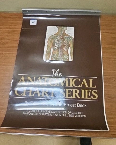 anatomical flip chart