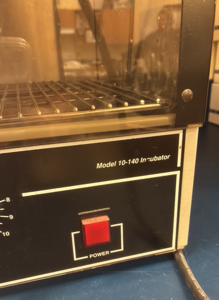 QL incubator